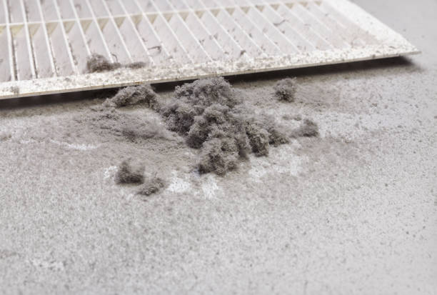 Best Air Duct Cleaning Near Me  in Mangonia Park, FL