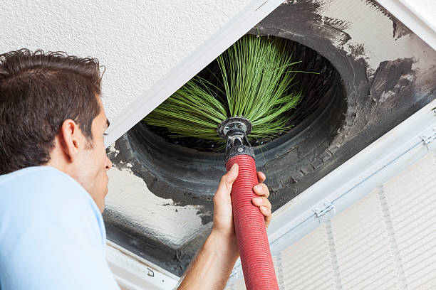 Best Professional Duct Cleaning Services  in Mangonia Park, FL