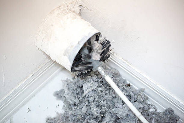 Best Local Air Duct Cleaning Services  in Mangonia Park, FL